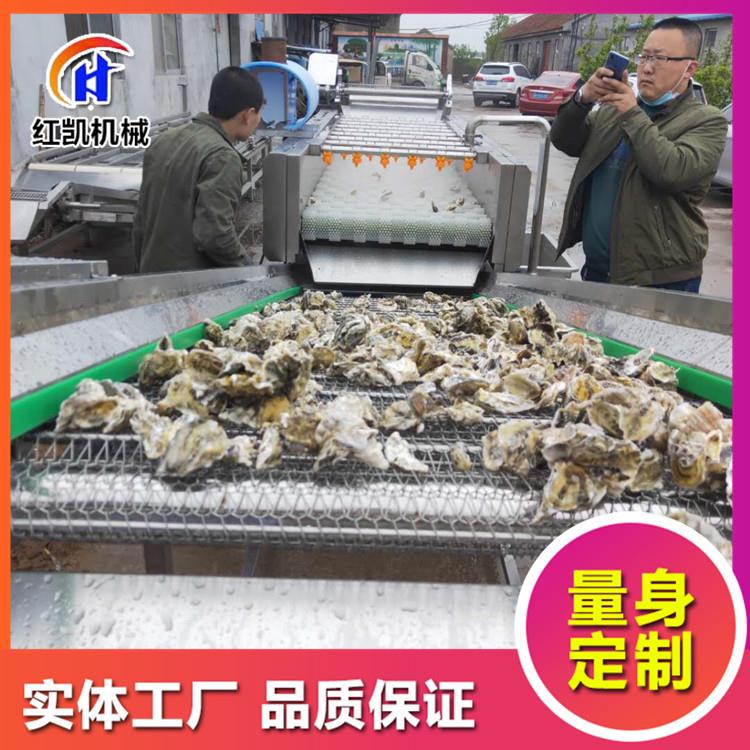 牡蛎清洗机生蚝海蛎子扇贝毛刷清洗机大型不锈钢生蚝清洗设备