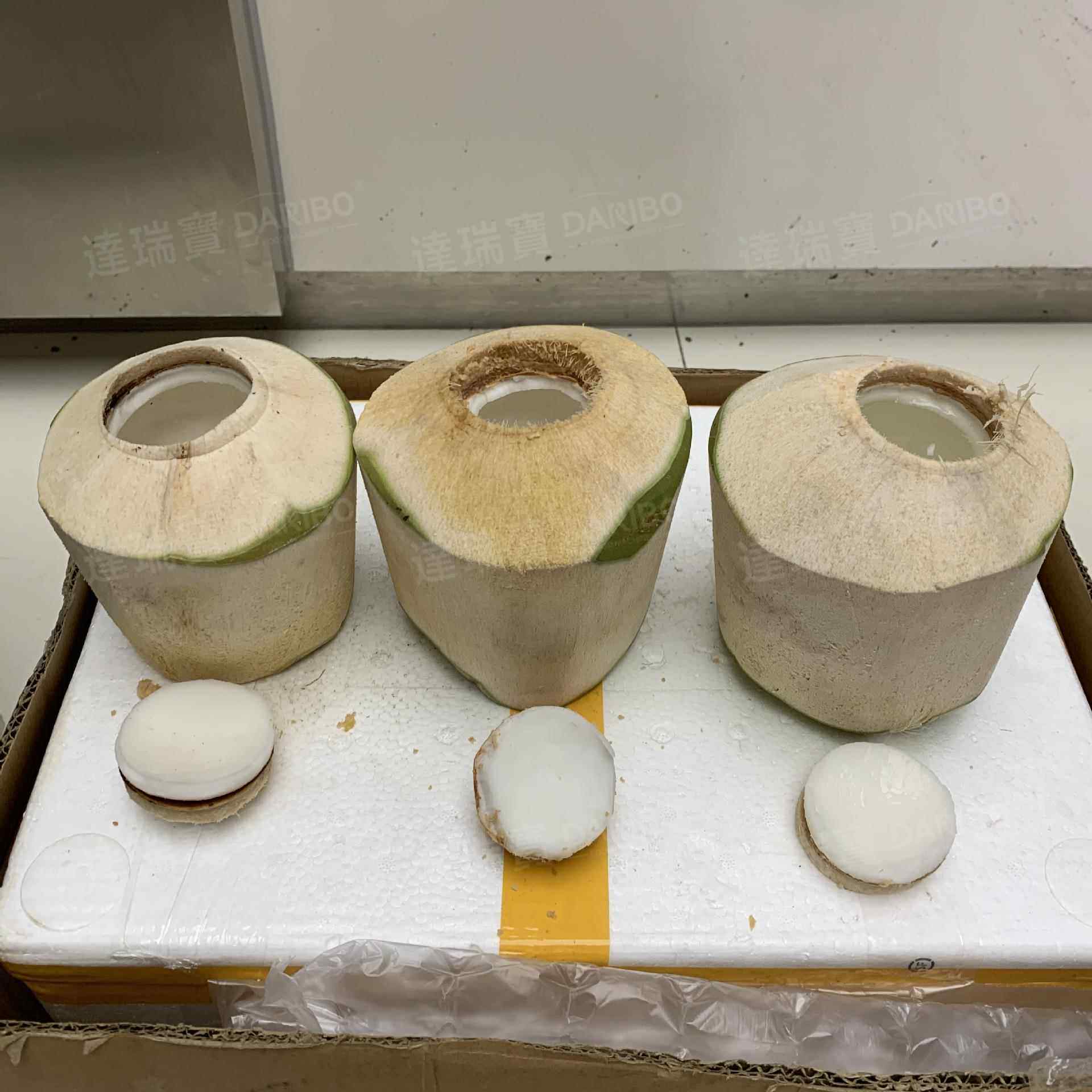 W 青椰削皮开盖流水线广东厂家 开青椰盖机椰子开口设备厂家直销