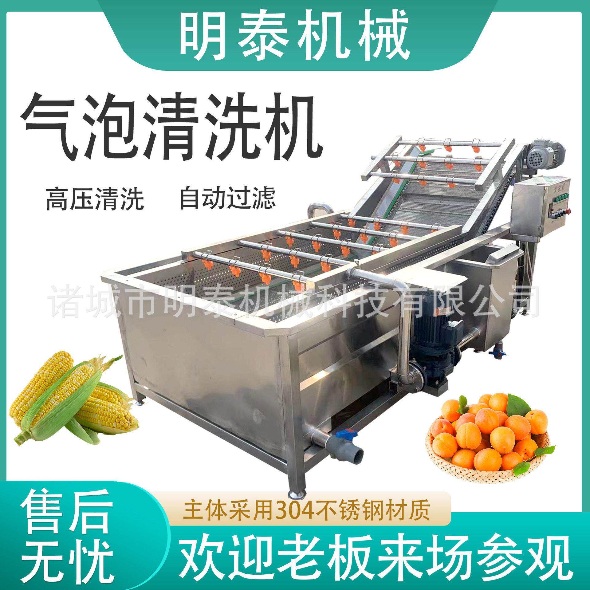 全自动果蔬气泡清洗机桃子葡萄苹果洗果机白菜油菜花生野菜洗菜机
