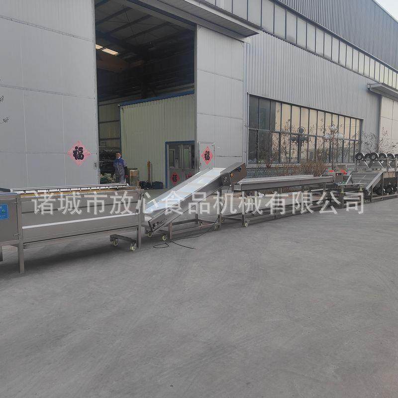 预制菜根类流水线 洗YNR茎根类蔬菜清设备 毛辊茎清洗净菜流水线