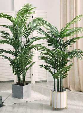 仿植物散尾盆葵盆栽客摆件大真型北欧厅风室内装饰秋尚宠物落地式