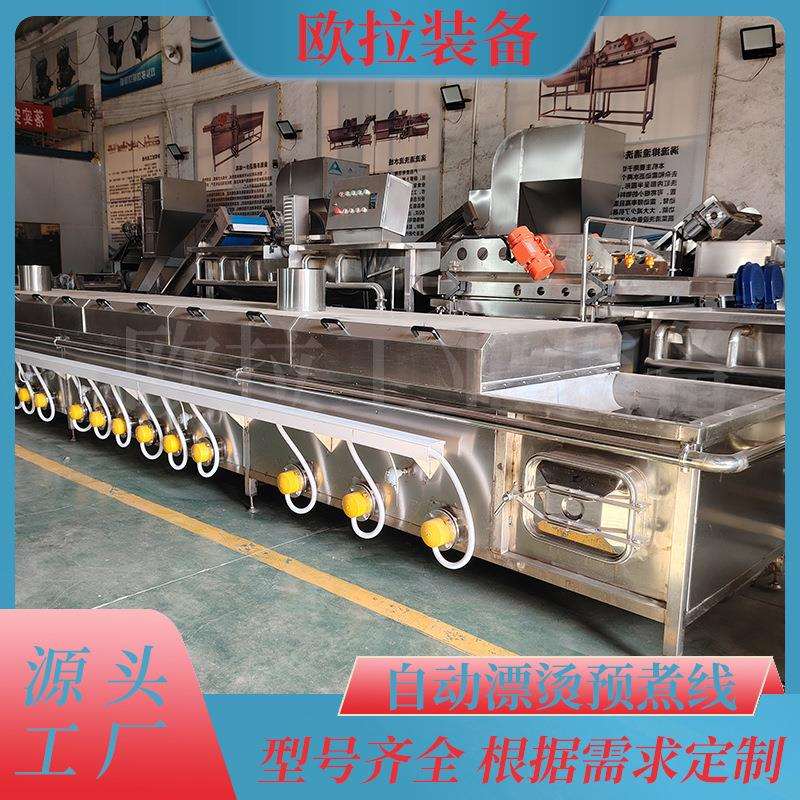 蔬菜预煮机杀青护色源头工厂西红柿漂烫去皮机