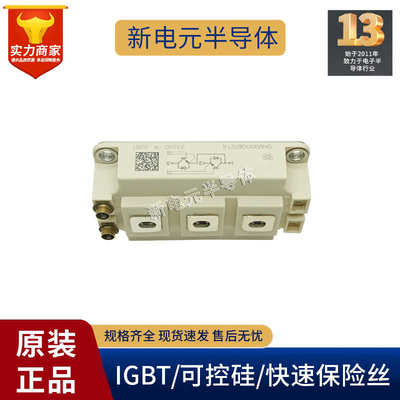 SKM200GB12T4/SKM400GB125D/SKM300GB12T4/SKM450GB12E4/126D模块