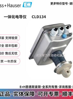 E+H CLD134-XCS138AB2 一体化电导仪