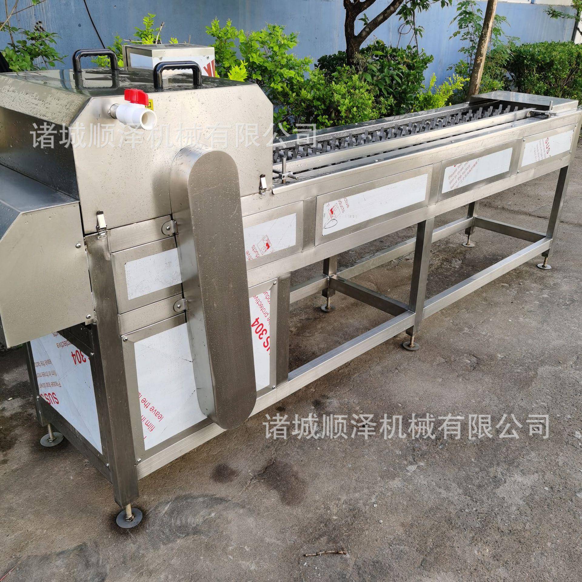 水果玉米切段机 吉林糯玉米切段机 顺泽连续式玉米切割机