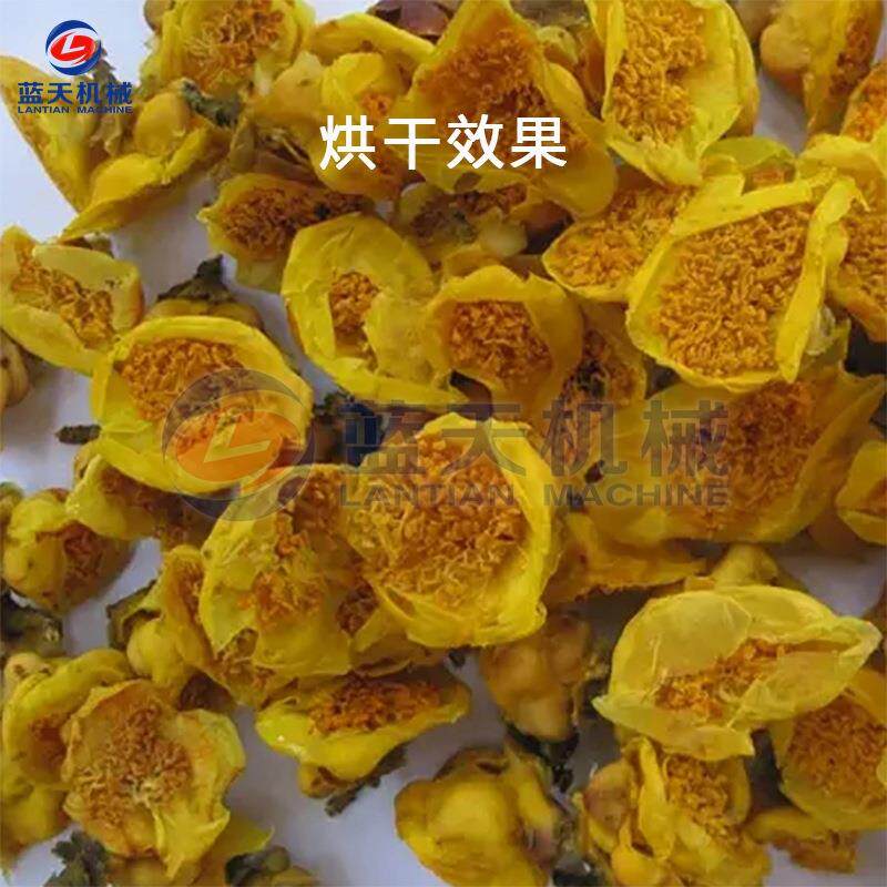 广西金花茶烘干机小型家用 金莲花黄色山茶烘干箱 花茶烘干机设备