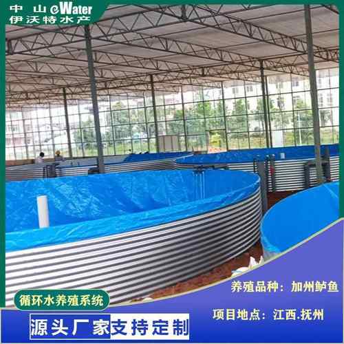 RAS海水淡水养鱼养虾水产养殖系统工厂化养殖循环水处理养殖系统