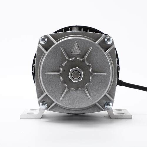 家直购8V50W直流无刷电机0永磁NPZ载货厂电动机三轮4车电机