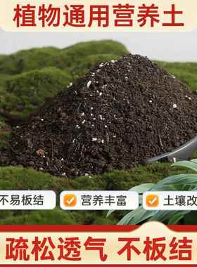 营养土养花专用通用型种菜土壤种植土种花花土泥土栽培土园艺肥料
