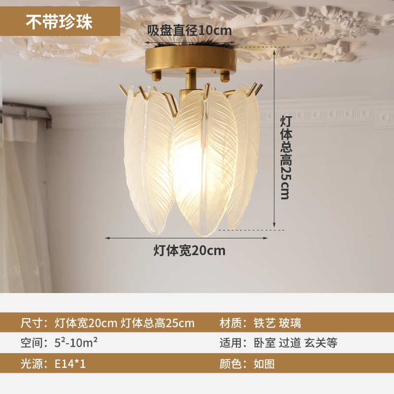 过道玄关水晶小现代吸顶灯新款走廊阳台入户奢灯轻灯红网创意简约