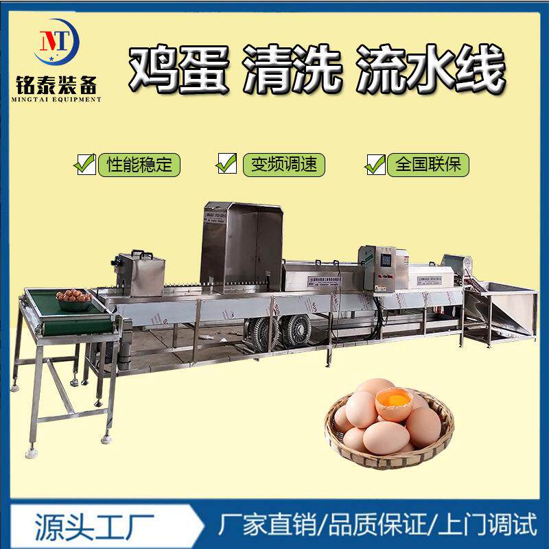 高产量鸡蛋清洗烘干机 自动化毛刷洗蛋设备 沾粪蛋清洗流水线