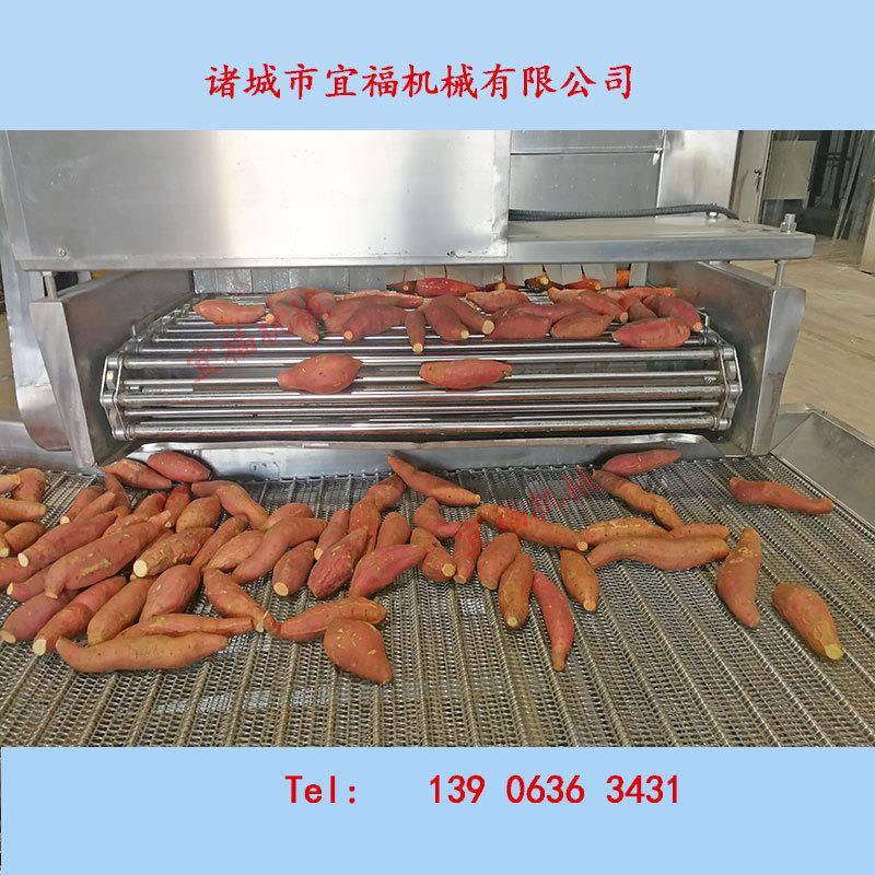 中型烤红薯机器_连续蜜薯地瓜烘烤机_板栗薯清洗烘烤流水线