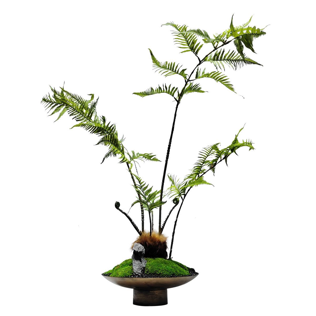新中式仿真绿植摆件小型蕨类盆景茶室玄关客厅禅意创意桌面装饰品