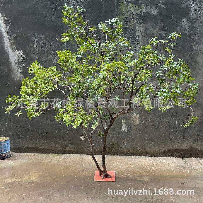 仿真马醉木高端绿植物造景橱窗装饰树楼梯下室内景观吊钟摆件落地