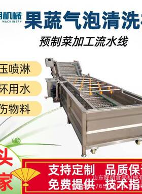 西红柿气泡清洗机商用全自动洗菜机高压喷淋茄子秋葵果蔬清洗设备