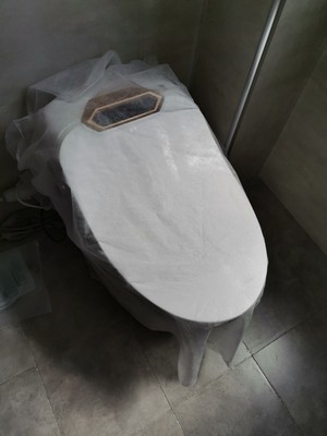 日本原野智能马桶怎么样?不敢想的评判结果让你心惊