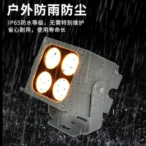 LED外墙一束光射灯远程聚光灯户外亮化罗马柱照墙防水洗墙灯酒店