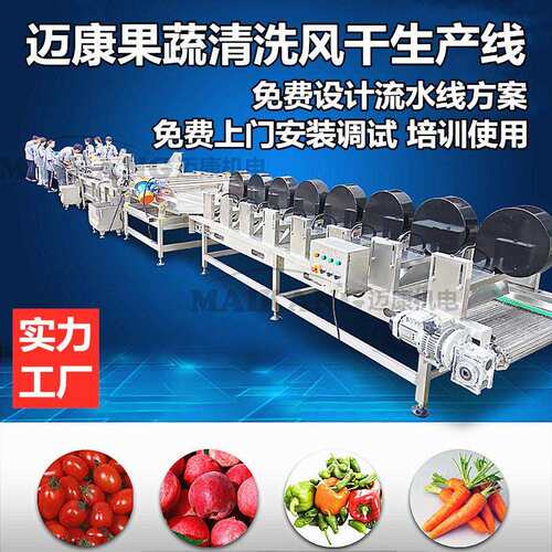 桑葚清洗机水果清洗风干设备工厂生产桑仁果清洗设备