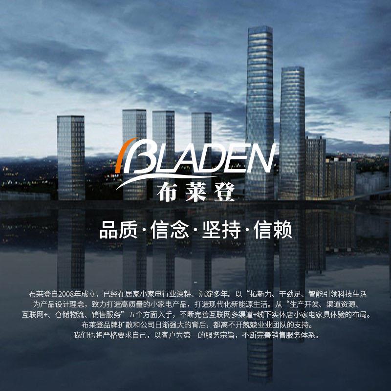 布莱登电吹风机家用负离子护发大风力理发店专用大功率厂家直销跨