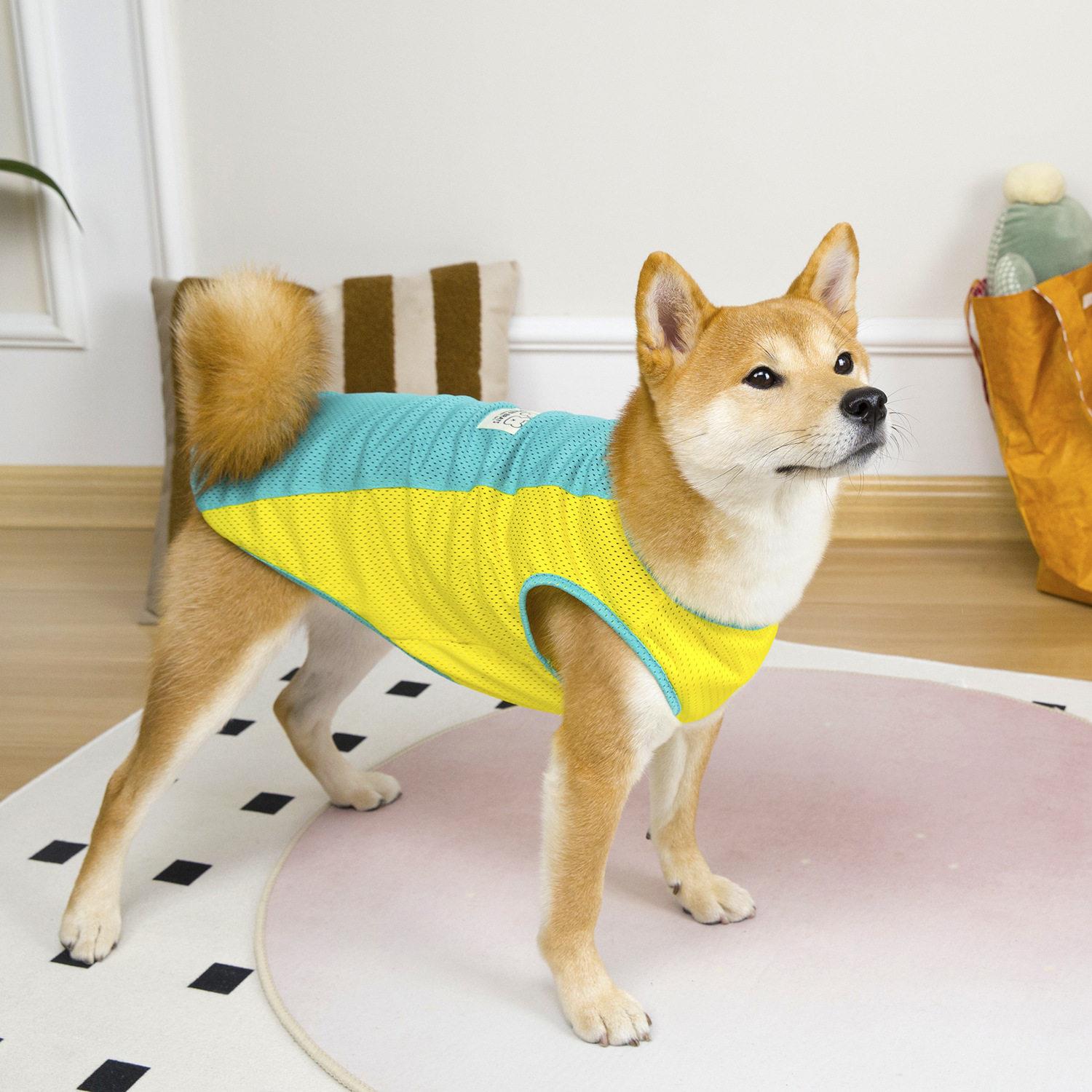 大狗宠物衣服狗狗背心春夏薄款大型犬金毛拉布柴犬衣服