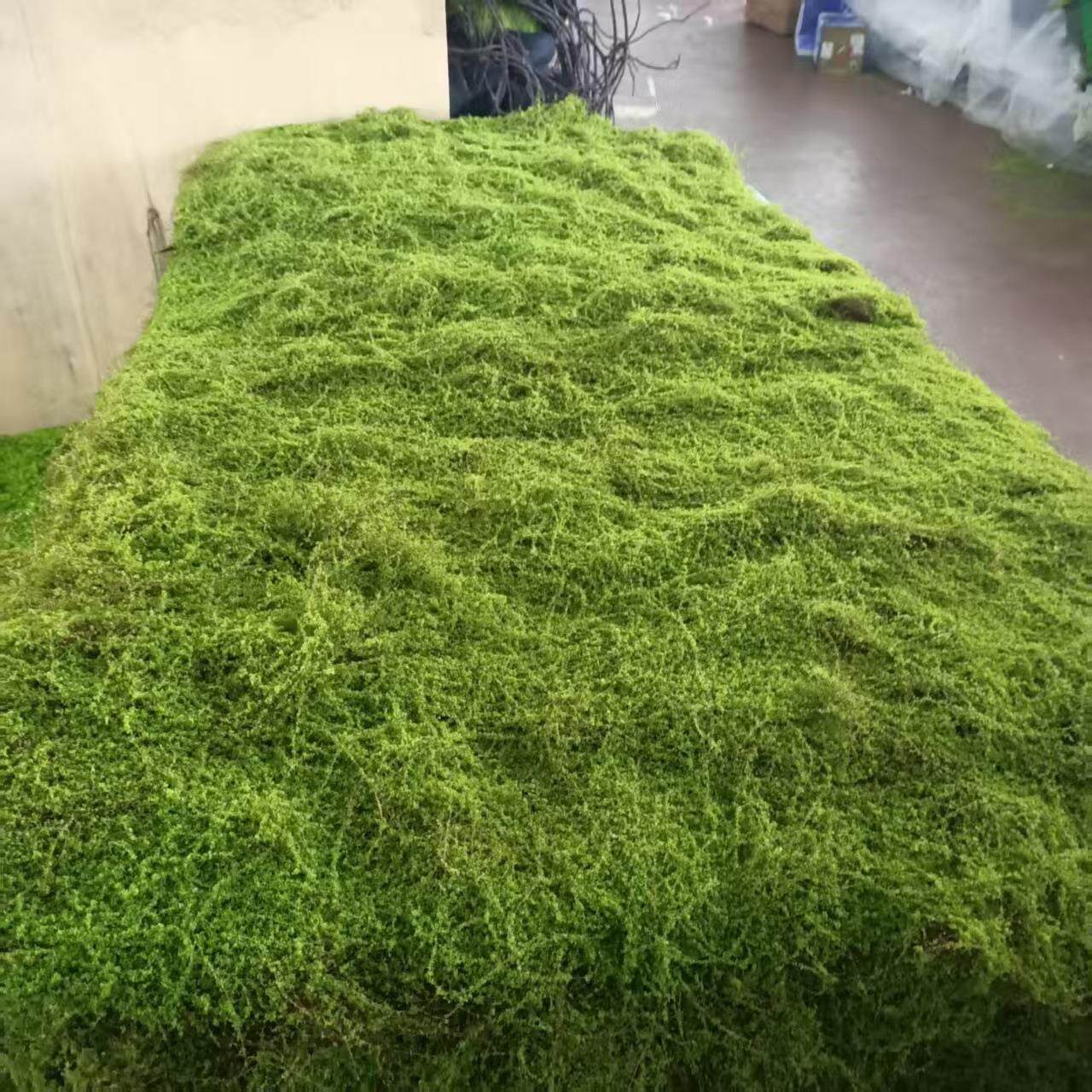 棕丝苔藓假青苔人造仿生草皮装饰绿植微景观造景植物室内造景草坪