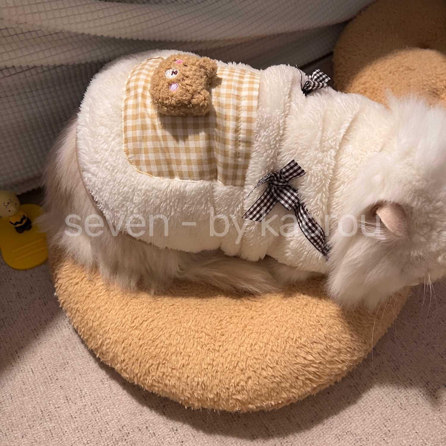 猫咪衣服宠物可爱熊羊毛羔布偶蓝猫英短防掉毛保暖马甲秋冬款