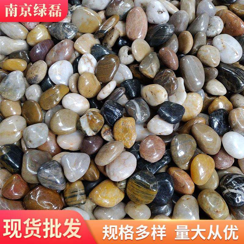 五彩精抛鹅卵石厂家直销景观装饰道路铺装庭院园艺