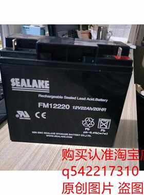 12v22ah免维护蓄电池 SEALAKE FM12220 12V/22AH/20HR 蓄电池