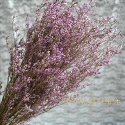 新款直销干花 情人草花束插花花艺节日花束婚庆插花花艺拍摄道具