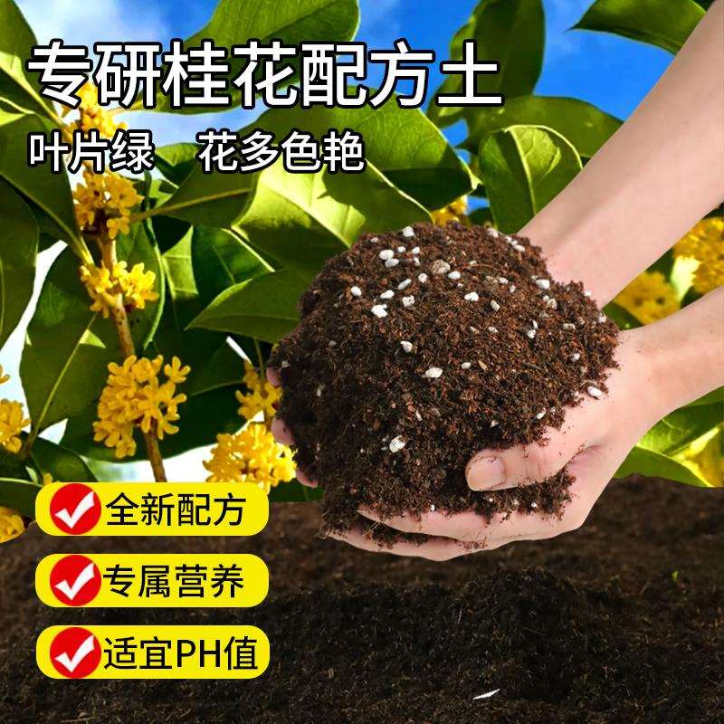 桂花土营养土养桂花树肥料肥盆栽土壤种植土有机绿植泥土