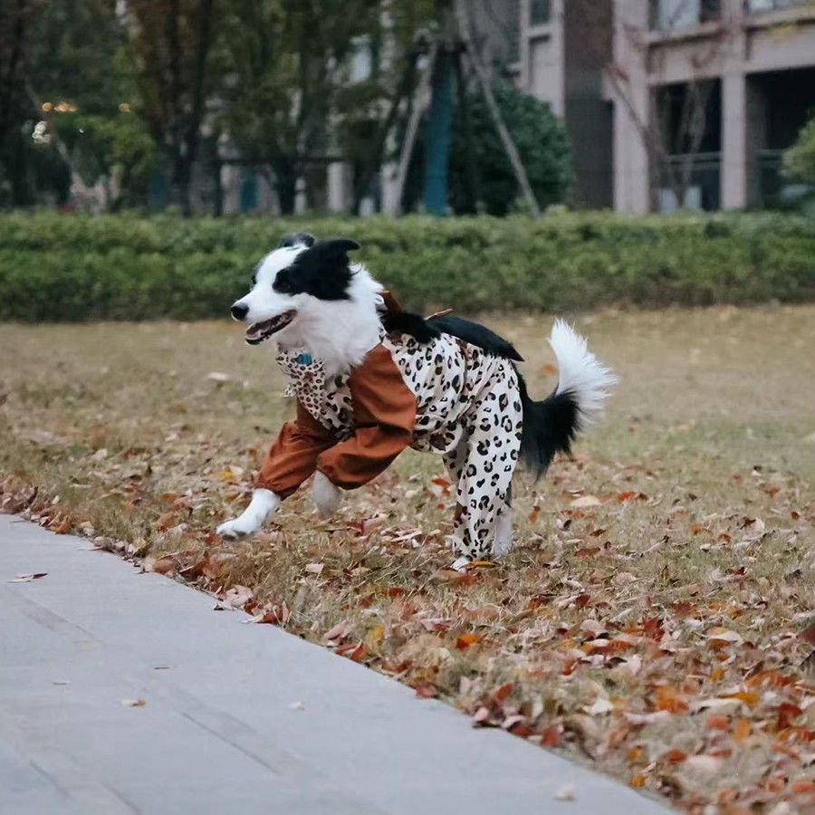 大型犬宠物衣服狗狗防尘长毛雨衣