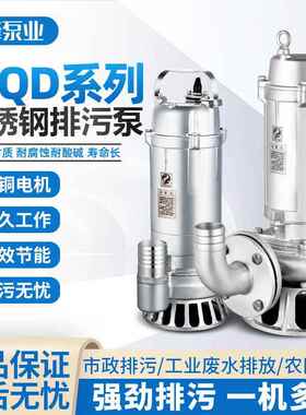 304不锈钢污水泵380V316L耐酸碱防腐蚀无堵塞切割化工潜水排污泵