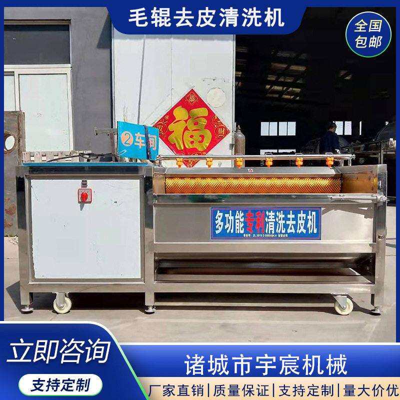 黄岑麦冬毛辊去皮清洗机半夏何首乌马蹄脱皮机猪蹄猪耳朵清洗机