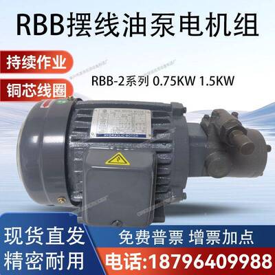 RBB-210Y/216Y/212Y/220Y摆线油泵电机RBB-206/208Y2 0.75/1.5KW