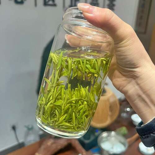 .金寨黄芽2026年新茶高山茶树清香浓郁老茶客推荐金寨黄芽250g罐