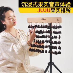 梵木果果实壳音束果实摇铃天然植物果实音乐会伴奏手摇排铃小乐器