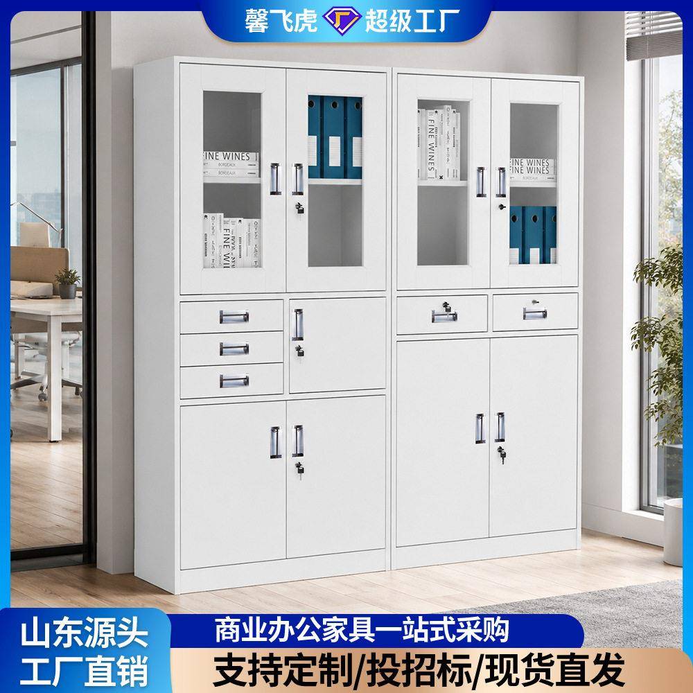 文件柜公柜书柜资料整理柜档案柜铁皮柜子储物柜财务凭证柜带锁