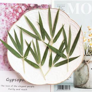 竹枝竹叶 干花书签押花压花滴胶香薰蜡蜡片酒吧鸡尾酒创意装饰物