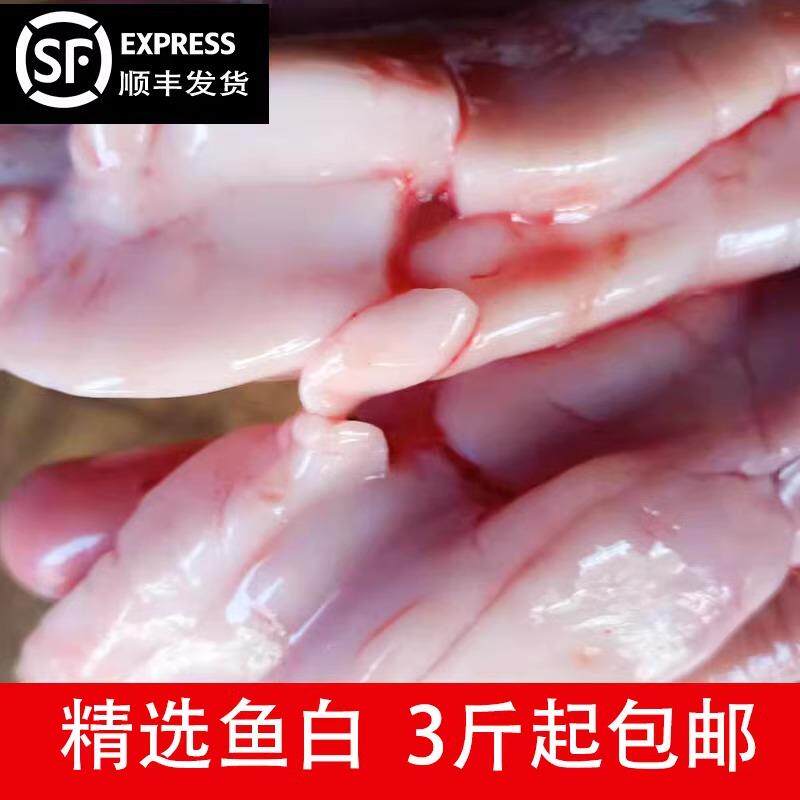 鱼白鱼杂鱼漂新鲜鱼水产保鲜发货加冰现杀现取鱼白包邮