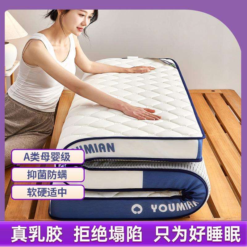 新款字母牛奶丝双边立体乳胶床垫学生宿舍记忆棉软垫家用床褥