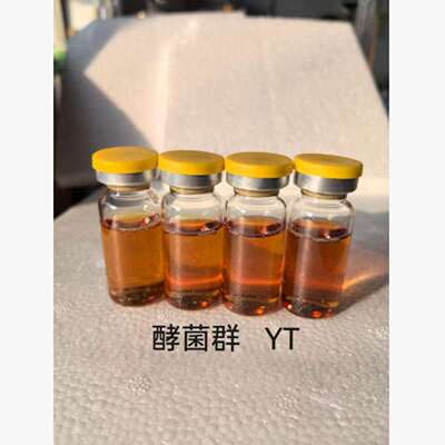细菌测试瓶/酵母菌测试瓶型号:KBC-YT库号：M411700
