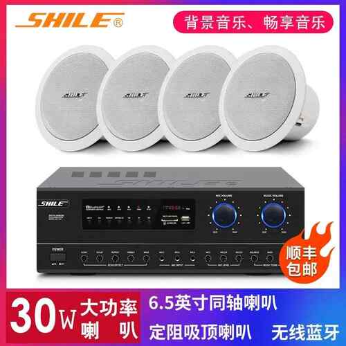 狮乐BX206吸顶喇叭式吊顶高音背景音乐音响套装公共广播会议音箱