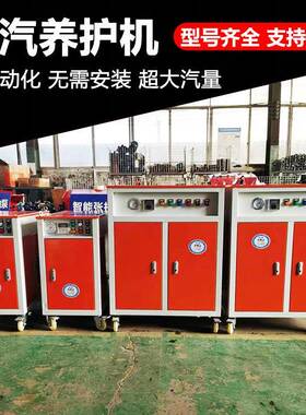 程煤蒸汽发生器桥梁养护蒸养机混凝土养护蒸汽机设备