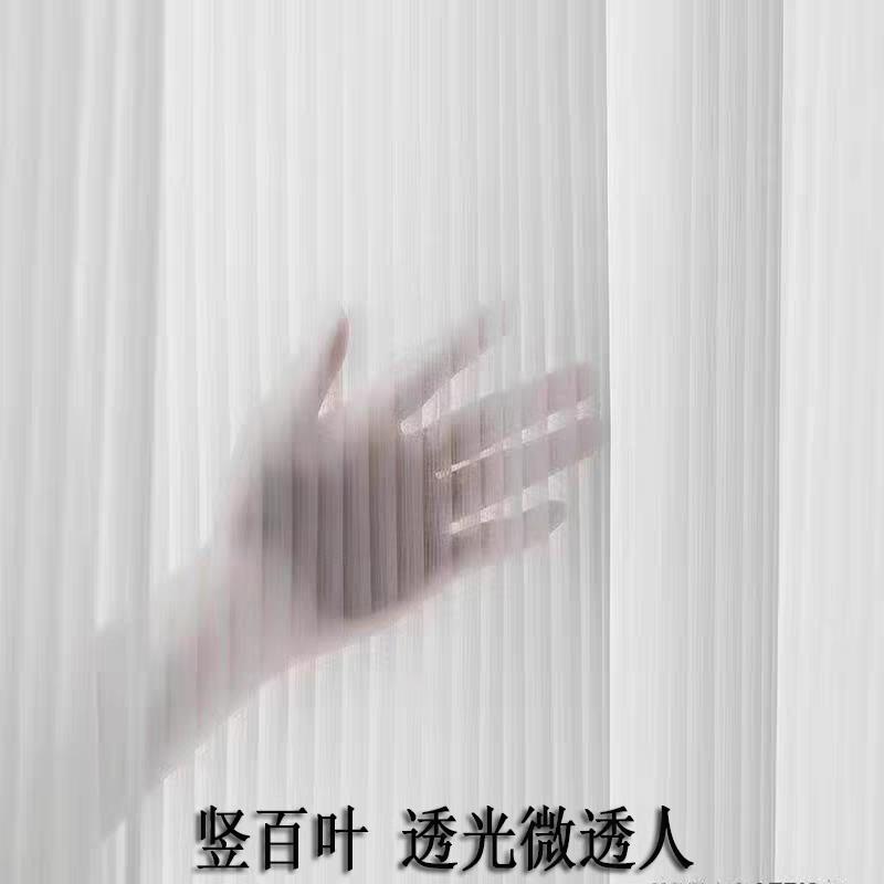 成品新品竖百叶纱帘白色梦幻白纱窗帘客厅卧室飘窗阳台薄纱纱帘