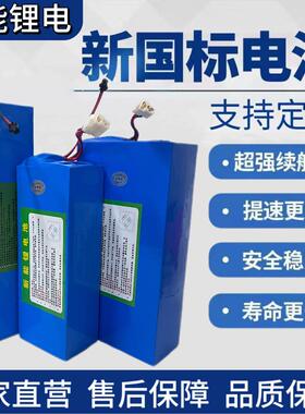 电动车锂电池48v12安36v15A24v20an内置款折叠代驾车支持尺寸定制