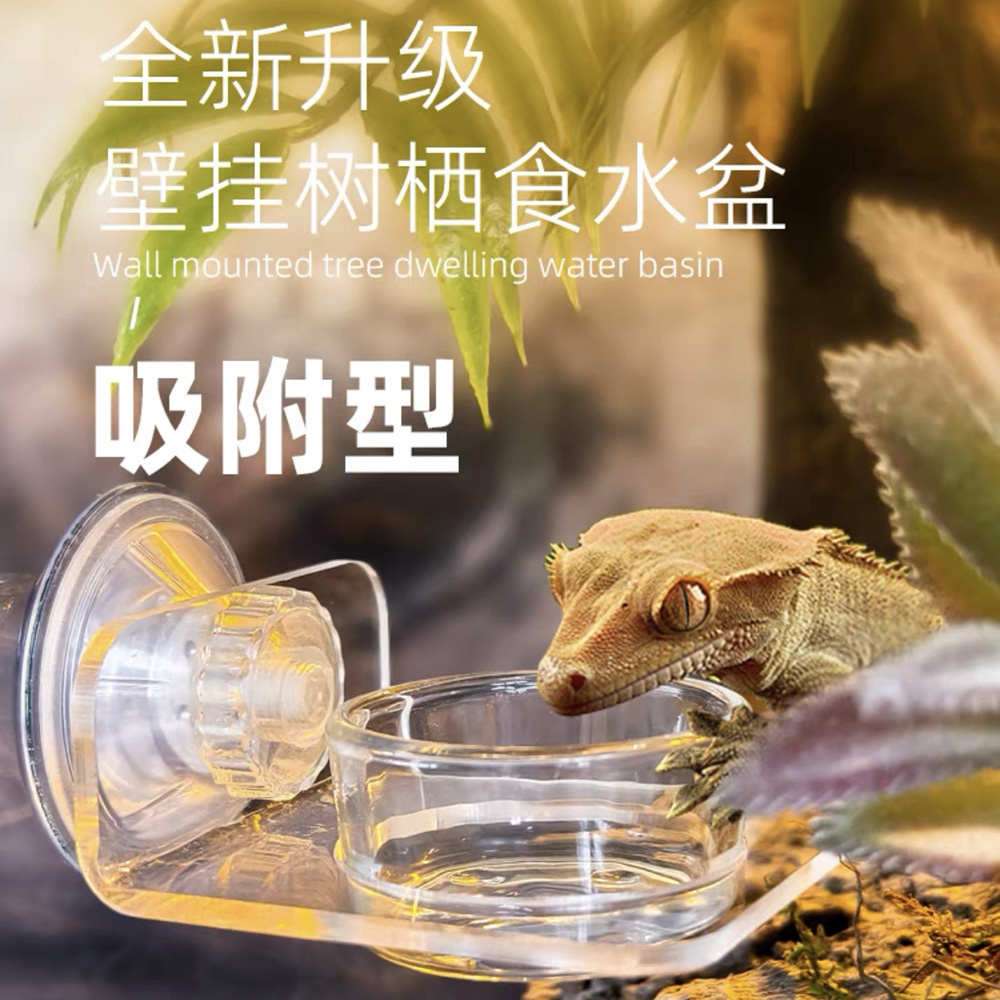 爬宠悬挂食盆树栖R属睫角磁吸食盆亚克力吸盘喂食台