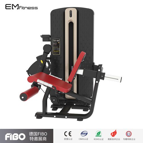 MZM力量器械伸腿训练器健身房商用伸屈腿综合训练器健身器材厂家