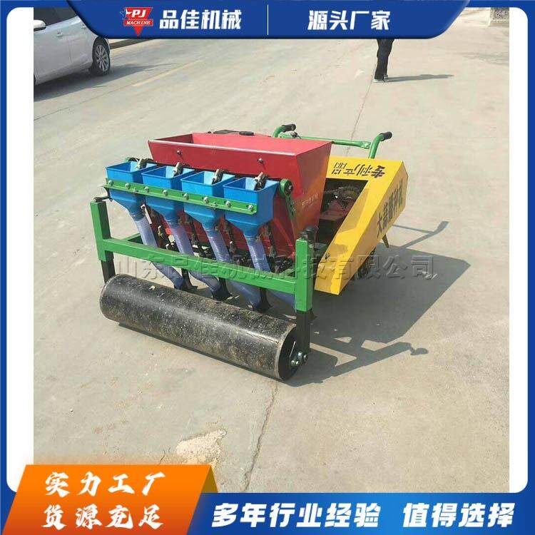 小型大蒜播种机 适合小地块家庭种植 手推式大蒜播种器