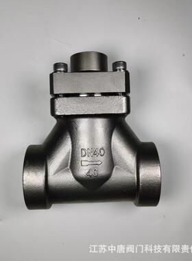 DH61F-40P焊接低温止回阀-196°C零下低温止回阀液氧C02止回阀