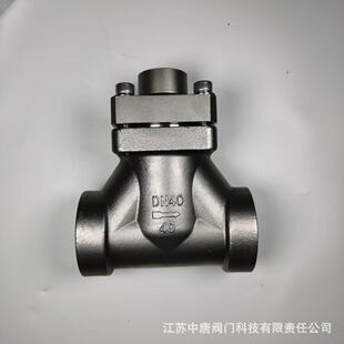 DH61F 196°C零下低温止回阀液氧C02止回阀 40P焊接低温止回阀